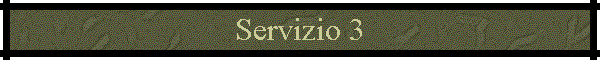 Servizio 3